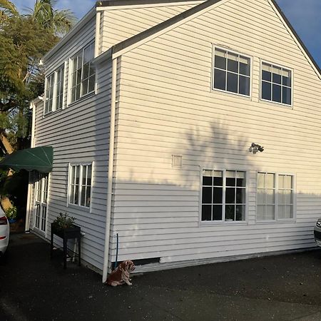 Takapuna Loft أوكلاند المظهر الخارجي الصورة